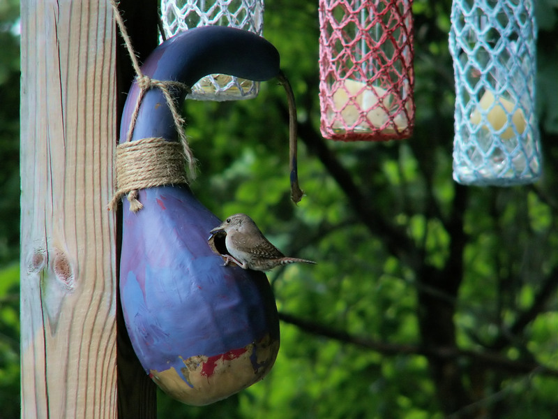 junk removal furniture disposal